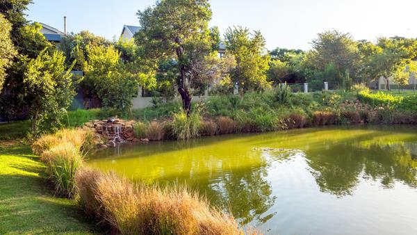 643 m² Land