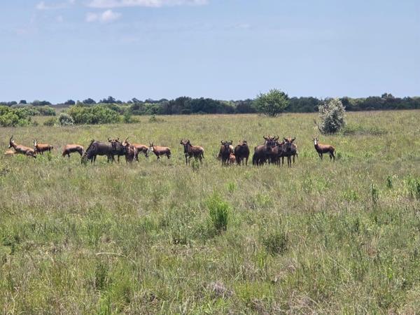 342.6 ha Farm