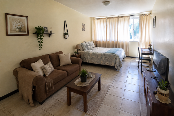 1 Bedroom Apartment