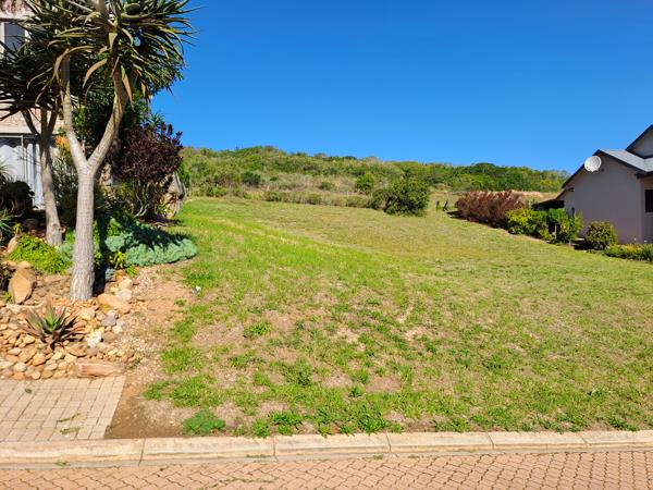 593 m² Land