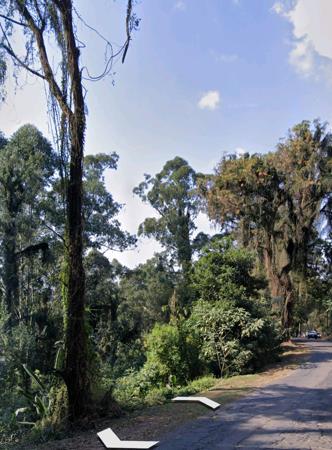 1.6 ha Land