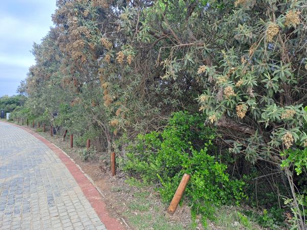 827 m² Land