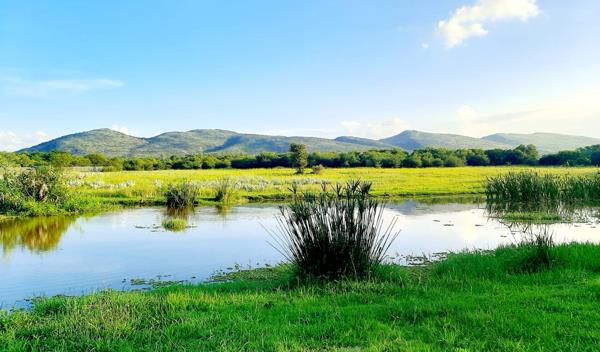 1 615 m² Land