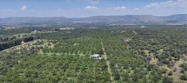 85 000 m² Commercial space