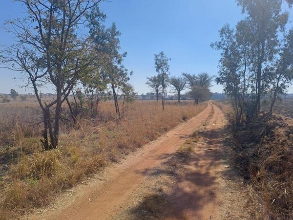 1 ha Land