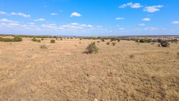 21 ha Land