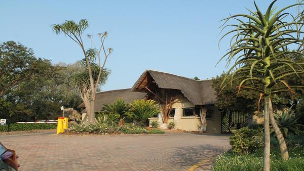 1 ha Land