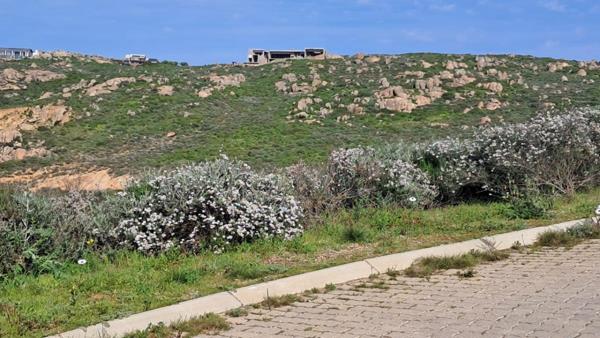 509 m² Land