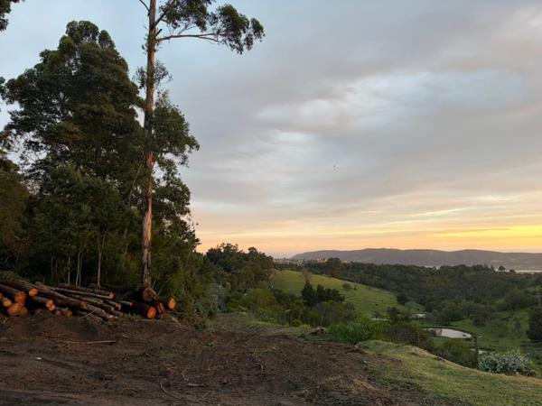 7.3 ha Land