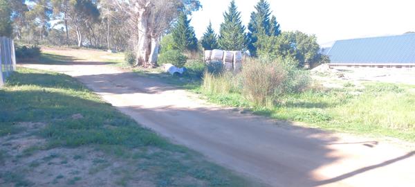 595 m² Land