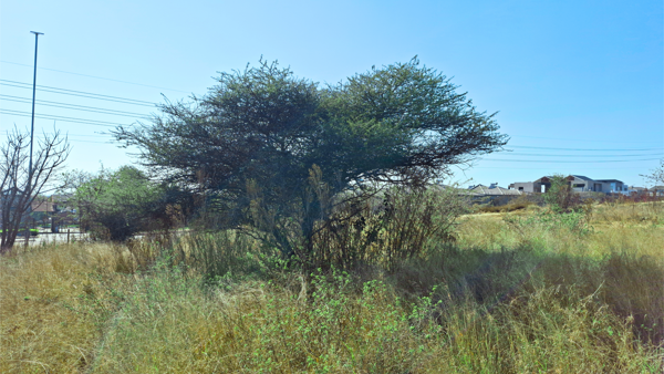 1.4 ha Land