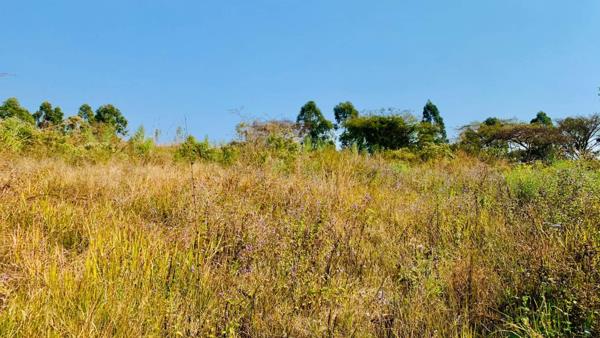 800 m² Land