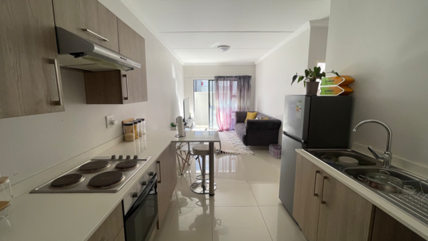 1 Bedroom Apartment