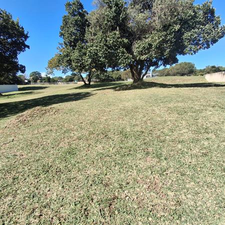 768 m² Land