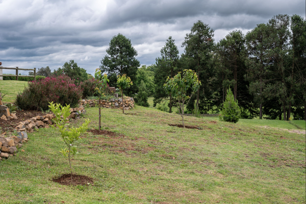 921 m² Land