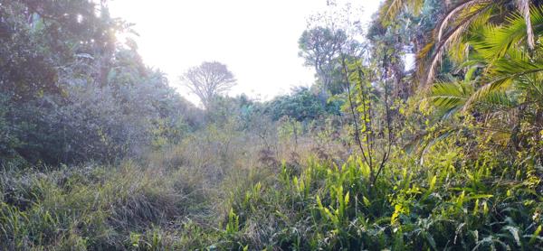 1 206 m² Land