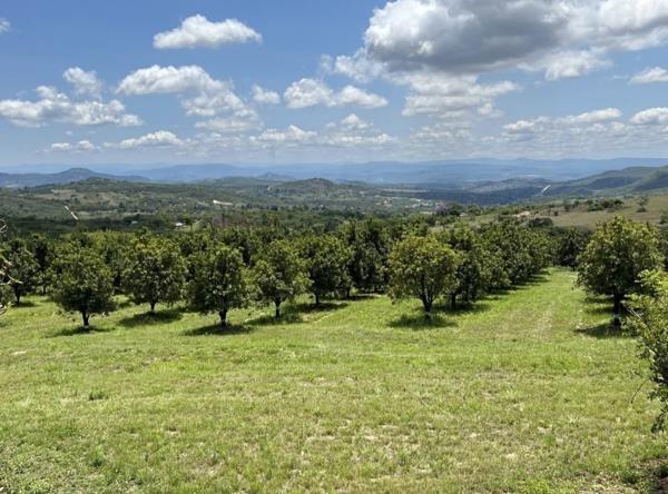 34 ha Farm