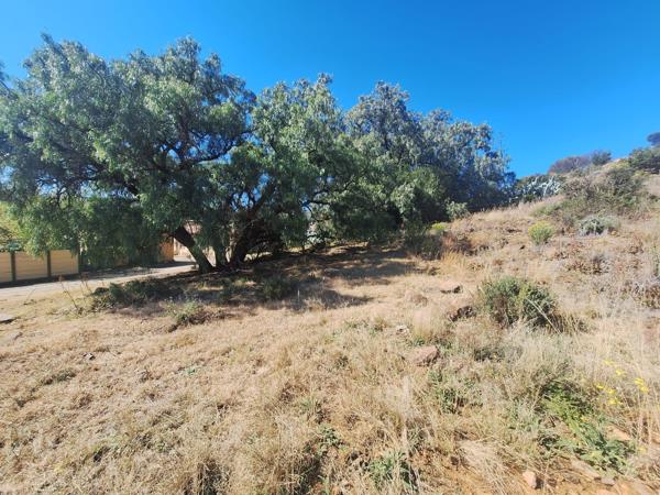 740 m² Land
