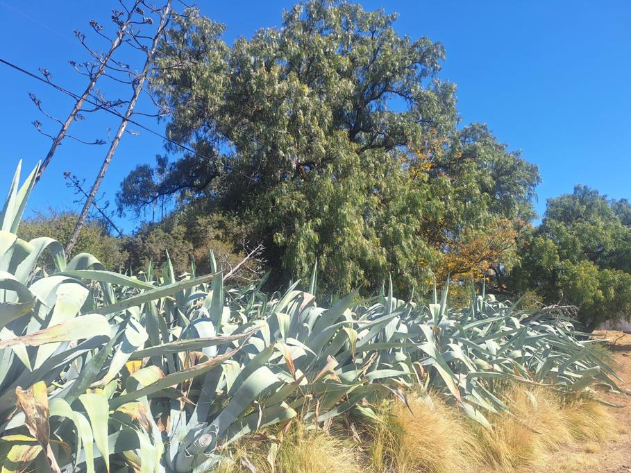 740 m² Land