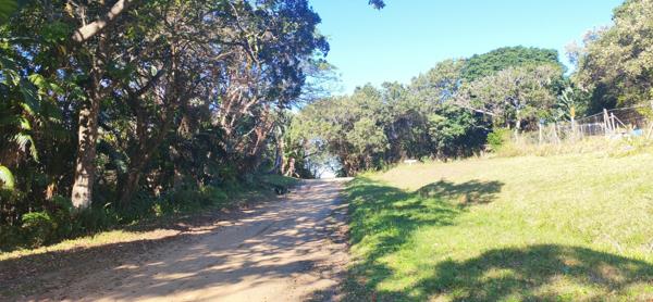 1 561 m² Land