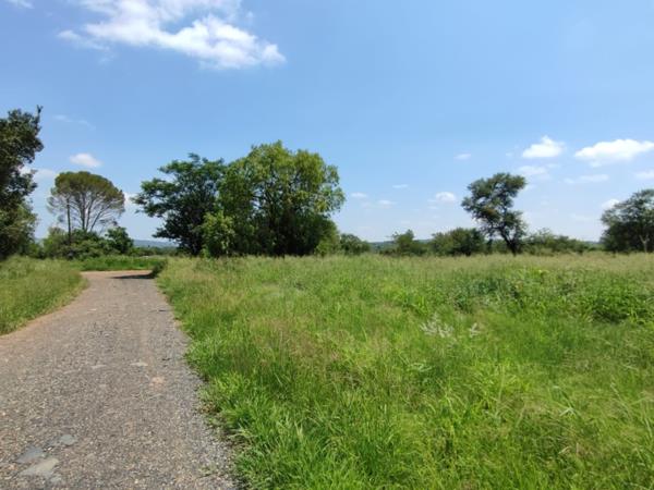 2 976 m² Land