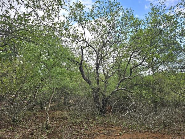 2 030 m² Land