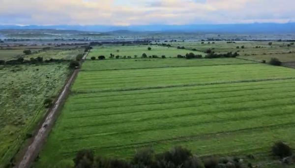 47.1 ha Farm