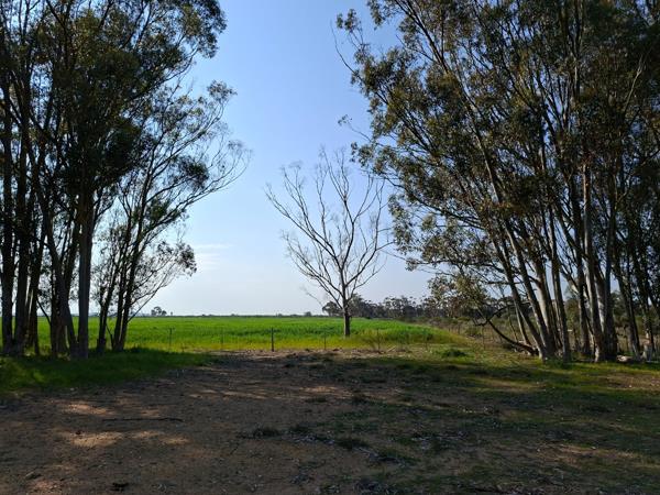 209 ha Farm