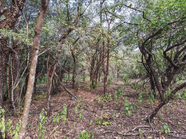 1 600 m² Land