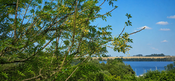 1 566 m² Land