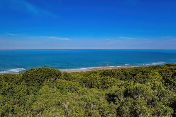 16.2 ha Smallholding