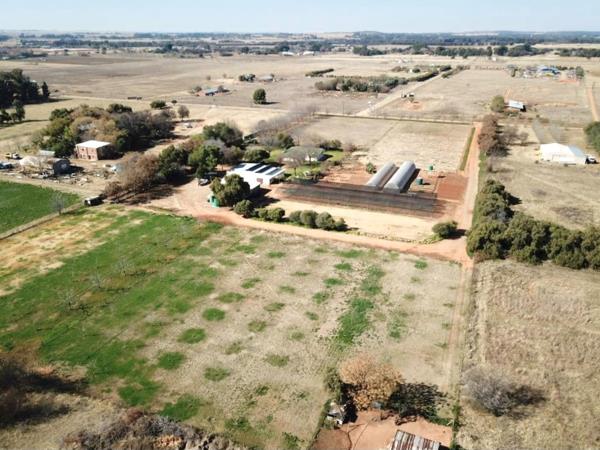 4.3 ha Smallholding