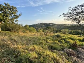 1 567 m² Land