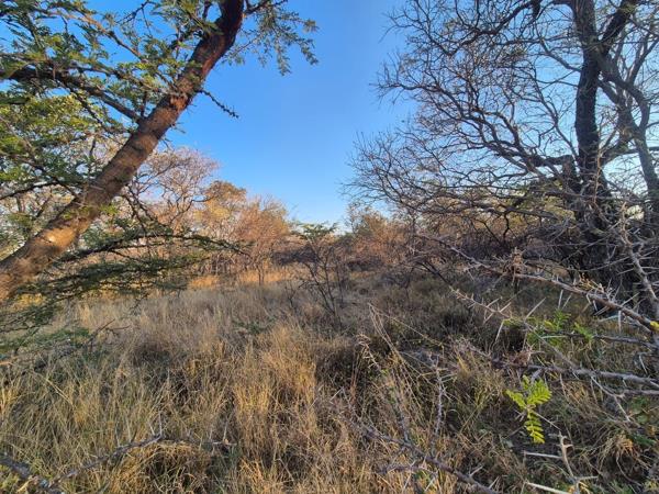 1 000 m² Land