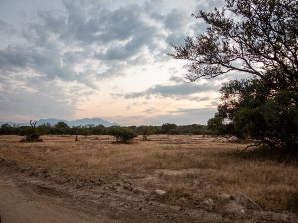 1 ha Land