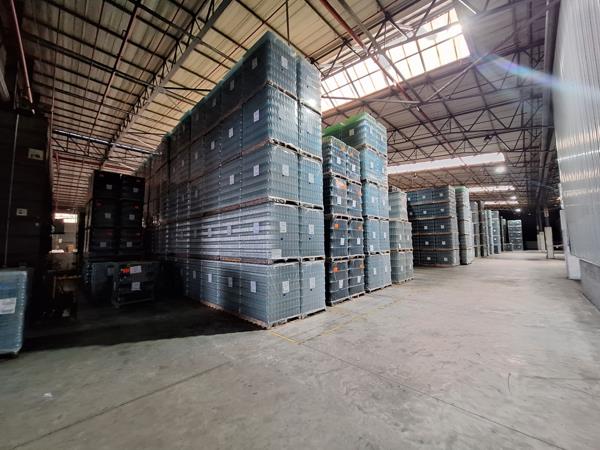 7 000 m² Industrial space