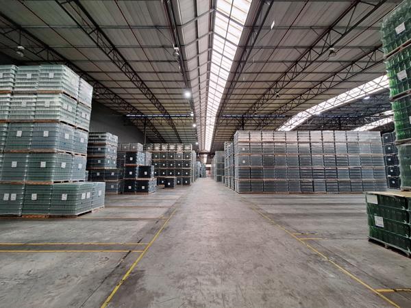17 000 m² Industrial space
