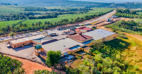 33 270 m² Commercial space