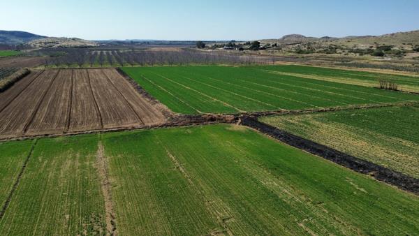 12.3 ha Farm
