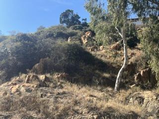 1 786 m² Land