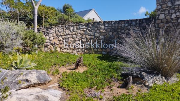 560 m² Land
