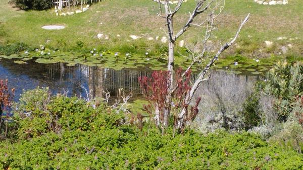 560 m² Land