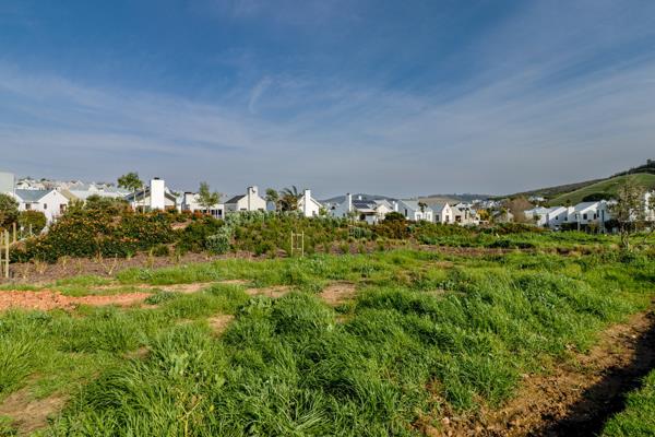 289 m² Land