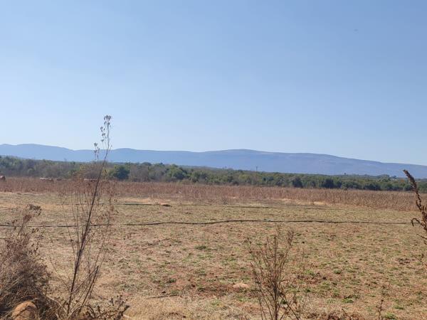 21.6 ha Farm