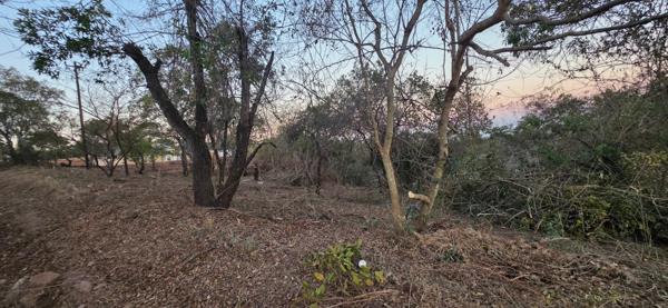 4 000 m² Land