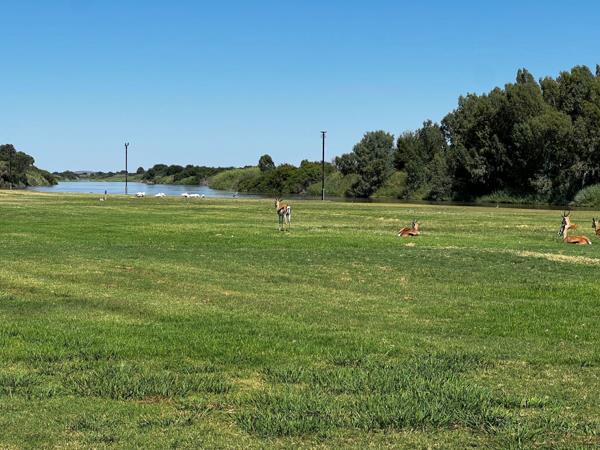 955 m² Land
