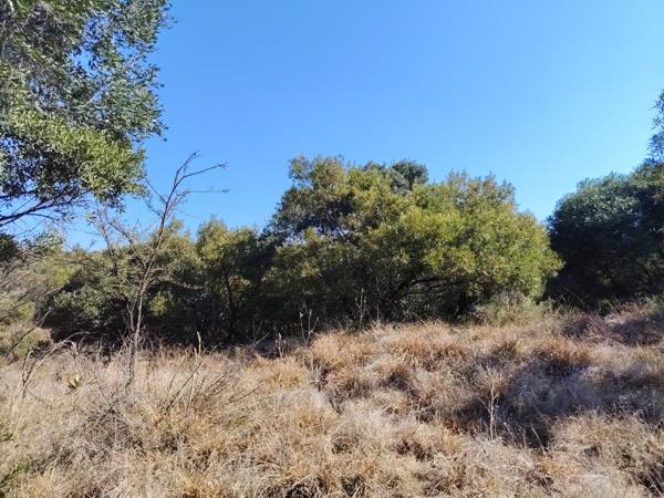 12 ha Farm