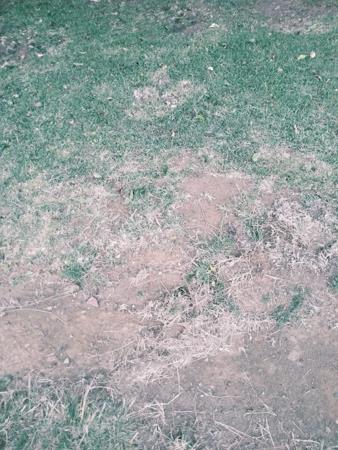 313 m² Land
