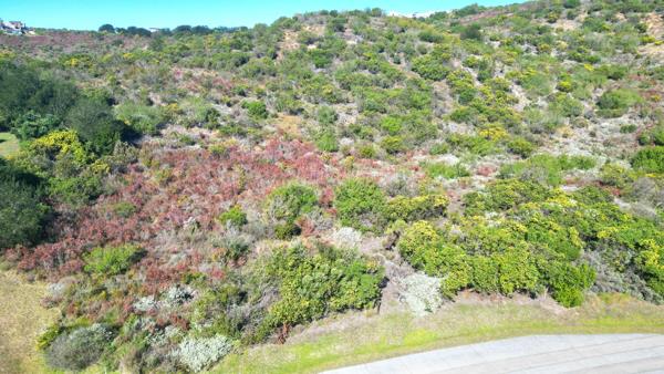 4 779 m² Land