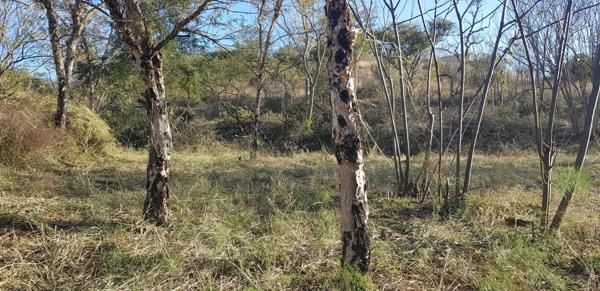 4 003 m² Land